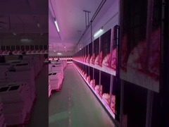 LED 투명 격자 스크린 임대 이벤트 유리 커튼 디스플레이 창 P3.91 ~ P7.82