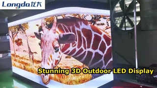 3D 육안