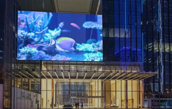 쇼핑몰을 위한 ISO14001 인터랙티브 크리에이티브 투명 LED 창 디스플레이 ODM
